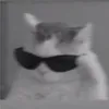 meovvstique