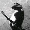 vlad33356565