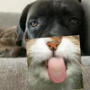 k92cute