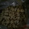 skipidiboppy1