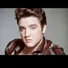 elvis3577rina