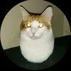 nam.vutruzz
