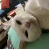 zaiqannn