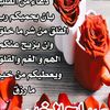 user291954496
