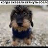 kycb_egorka