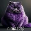 baber_2280