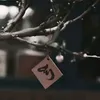 ha_an1.7