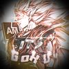 its_._goku1