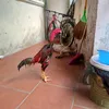 nguenvantuan87