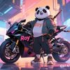 roy_nnbc37