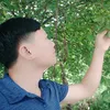 phanbach88