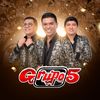 elgrupo5oficial