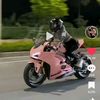 dinavera706