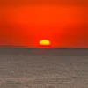 alinpetrica83