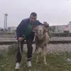 halim.bolo3