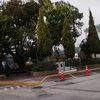 jeremiasgaspar4