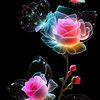 violetta.xht