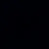 mms_4560