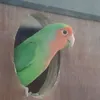 emojini3660