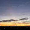 ibitebacksodogwatchout