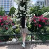 chan_chanvn