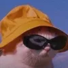 gato_ian_kkg