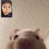 angelesx_
