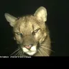 jm9_10
