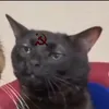 duilliamdosreisvieira