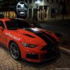 5.0tempest