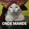 machaaezy