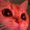 ajnakalakwkejfbbrksozj