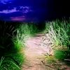 azam_khan777