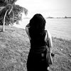hallocy_