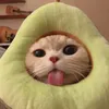 littlepansy525