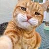 kucing_oyennnnnnn