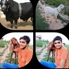 cattlekashoqeen.3789