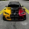wis_sam209