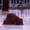 user45338518