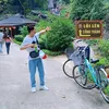 anh_shippeer
