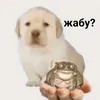 y0ur0dad_