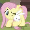 fluttertrqns777