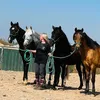 essaouira_river_ranch