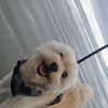 hisnameisbuddy