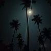 lost_in_echo