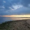 alexchj_r