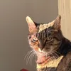ratatatatatatatatatac