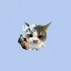 moonly_bows