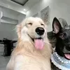 kbeoooo