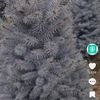 badalbaev_